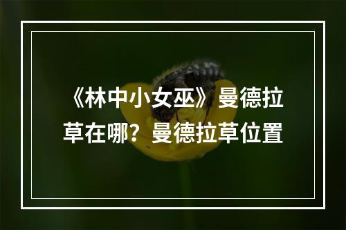 《林中小女巫》曼德拉草在哪？曼德拉草位置