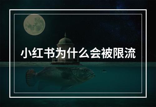 小红书为什么会被限流