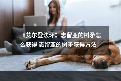 《艾尔登法环》志留亚的树矛怎么获得 志留亚的树矛获得方法