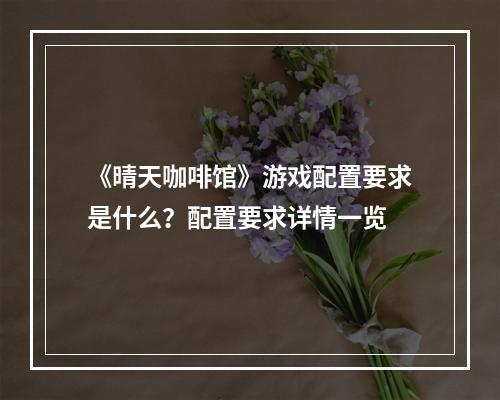 《晴天咖啡馆》游戏配置要求是什么？配置要求详情一览