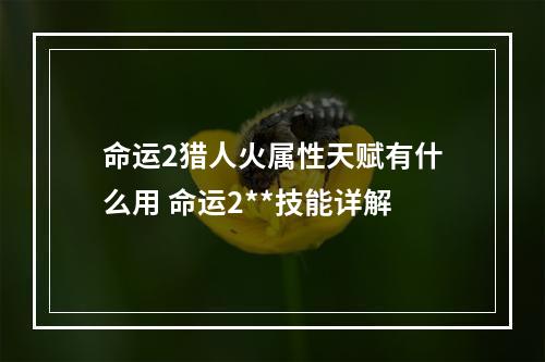 命运2猎人火属性天赋有什么用 命运2**技能详解