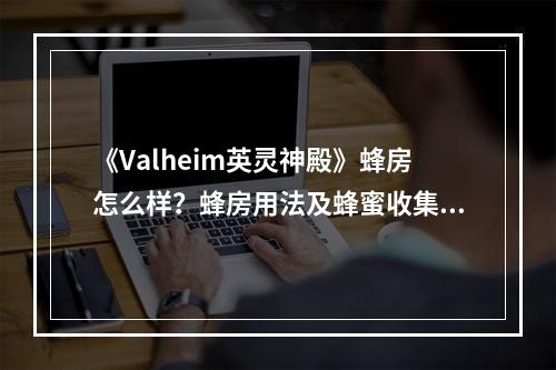 《Valheim英灵神殿》蜂房怎么样？蜂房用法及蜂蜜收集方法介绍