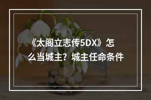 《太阁立志传5DX》怎么当城主？城主任命条件