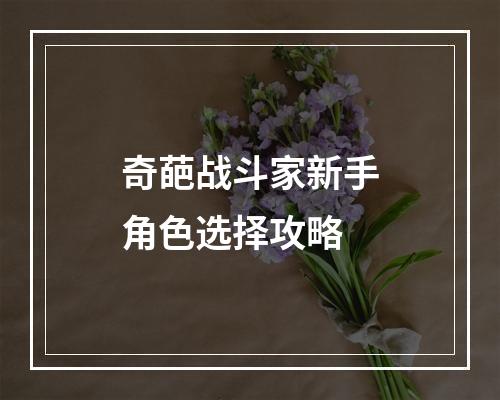 奇葩战斗家新手角色选择攻略