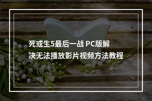 死或生5最后一战 PC版解决无法播放影片视频方法教程