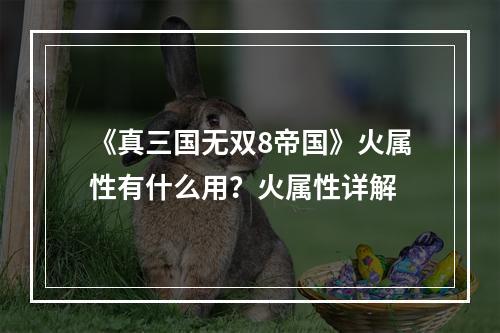 《真三国无双8帝国》火属性有什么用？火属性详解