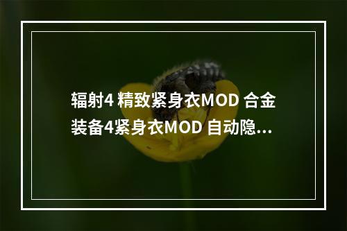 辐射4 精致紧身衣MOD 合金装备4紧身衣MOD 自动隐身