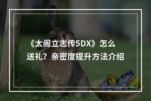 《太阁立志传5DX》怎么送礼？亲密度提升方法介绍