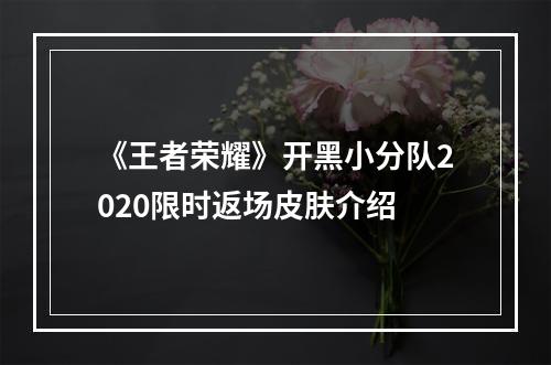 《王者荣耀》开黑小分队2020限时返场皮肤介绍