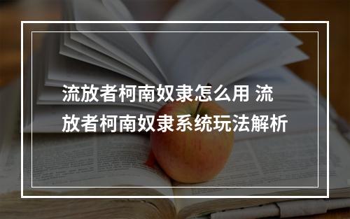 流放者柯南奴隶怎么用 流放者柯南奴隶系统玩法解析