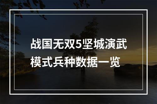 战国无双5坚城演武模式兵种数据一览