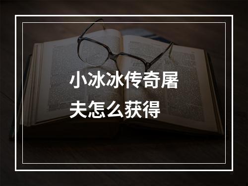 小冰冰传奇屠夫怎么获得