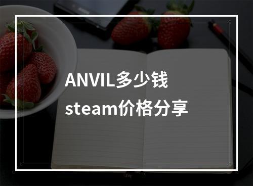 ANVIL多少钱 steam价格分享