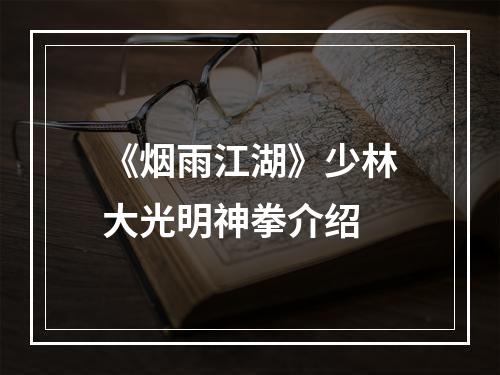 《烟雨江湖》少林大光明神拳介绍