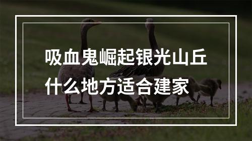 吸血鬼崛起银光山丘什么地方适合建家