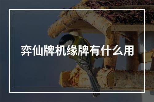 弈仙牌机缘牌有什么用