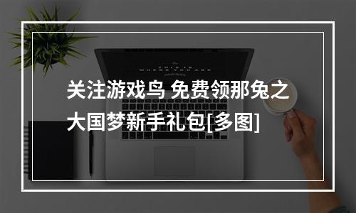 关注游戏鸟 免费领那兔之大国梦新手礼包[多图]