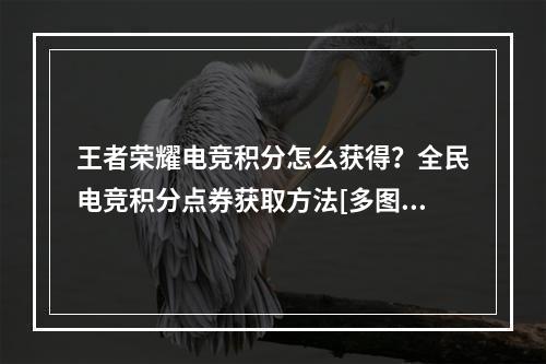 王者荣耀电竞积分怎么获得？全民电竞积分点券获取方法[多图]