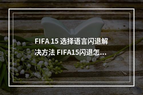 FIFA 15 选择语言闪退解决方法 FIFA15闪退怎么办