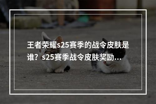 王者荣耀s25赛季的战令皮肤是谁？s25赛季战令皮肤奖励**[多图]