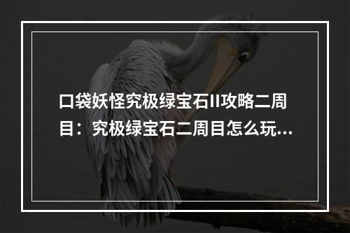 口袋妖怪究极绿宝石II攻略二周目：究极绿宝石二周目怎么玩？[多图]