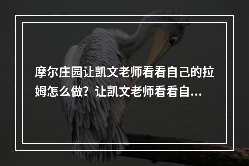 摩尔庄园让凯文老师看看自己的拉姆怎么做？让凯文老师看看自己的拉姆任务攻略[多图]