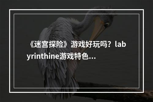 《迷宫探险》游戏好玩吗？labyrinthine游戏特色内容介绍