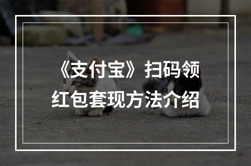 《支付宝》扫码领红包套现方法介绍