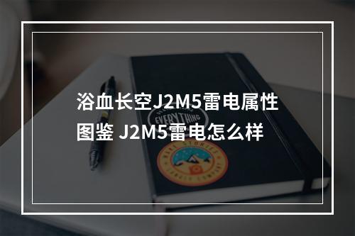 浴血长空J2M5雷电属性图鉴 J2M5雷电怎么样