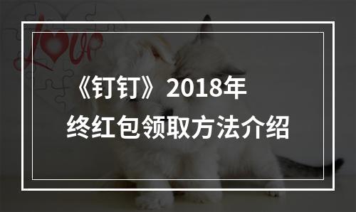 《钉钉》2018年终红包领取方法介绍