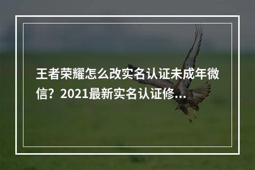 王者荣耀怎么改实名认证未成年微信？2021最新实名认证修改流程[多图]