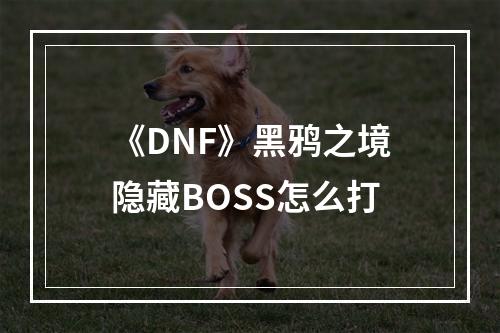 《DNF》黑鸦之境隐藏BOSS怎么打