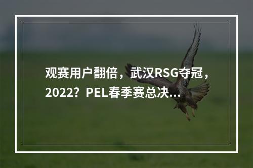 观赛用户翻倍，武汉RSG夺冠，2022？PEL春季赛总决赛线下圆满落幕