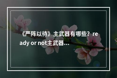 《严阵以待》主武器有哪些？ready or not主武器种类及特点介绍