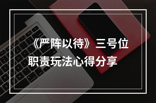 《严阵以待》三号位职责玩法心得分享