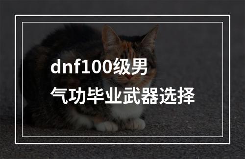 dnf100级男气功毕业武器选择