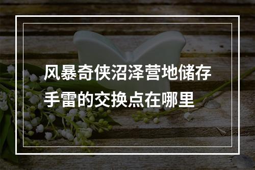 风暴奇侠沼泽营地储存手雷的交换点在哪里