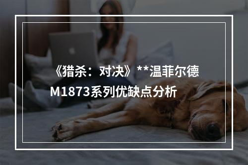 《猎杀：对决》**温菲尔德M1873系列优缺点分析