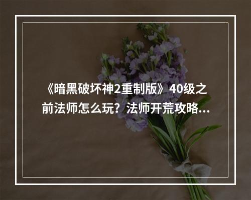 《暗黑破坏神2重制版》40级之前法师怎么玩？法师开荒攻略分享