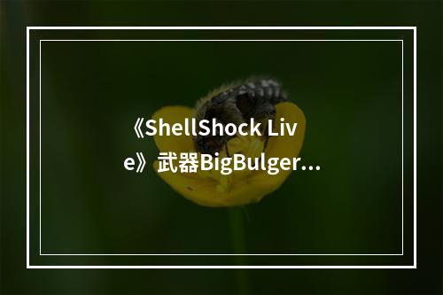 《ShellShock Live》武器BigBulger属性分析