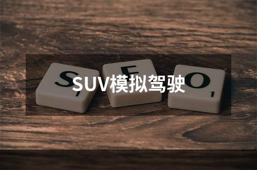 SUV模拟驾驶