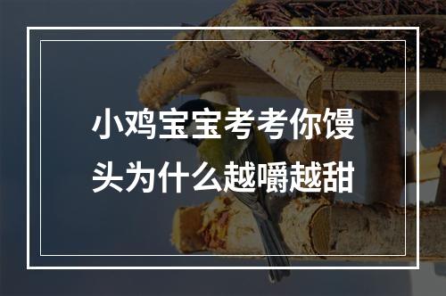 小鸡宝宝考考你馒头为什么越嚼越甜