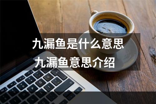 九漏鱼是什么意思 九漏鱼意思介绍