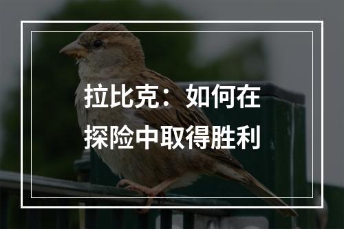 拉比克：如何在探险中取得胜利