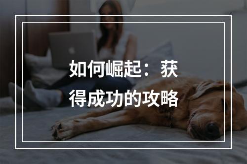 如何崛起：获得成功的攻略