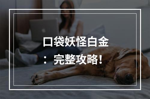 口袋妖怪白金：完整攻略！