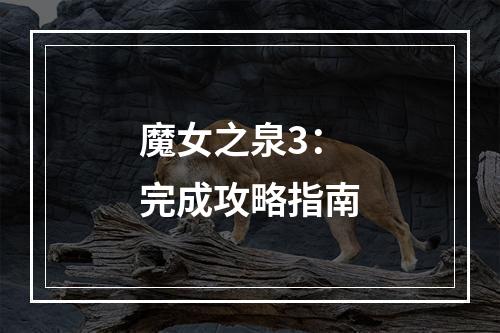 魔女之泉3：完成攻略指南