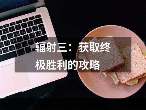 辐射三：获取终极胜利的攻略