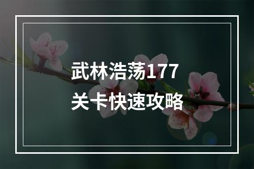 武林浩荡177关卡快速攻略