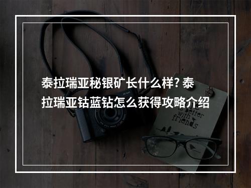 泰拉瑞亚秘银矿长什么样? 泰拉瑞亚钴蓝钻怎么获得攻略介绍